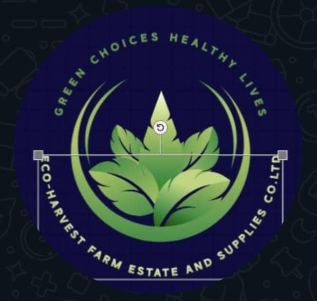 E&N ECO-FRIENDLY MARKETPLACE